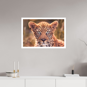 30 x 20″, L Print SEEN