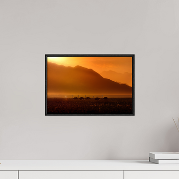 15 x 10″, SML Black Float Procession of Light