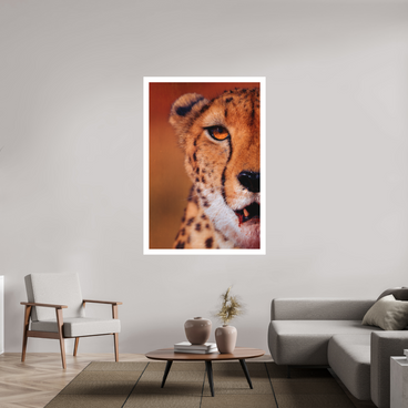 40 x 60″, XL + Exhibition Print AS IT IS