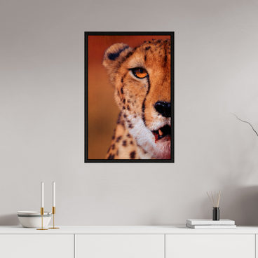 20 x 30″, L+XL Black Floater Frame As It Is