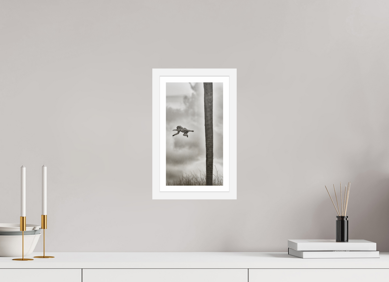 6.8 x 12″, S+M White Frame + Border Beyond The Branch