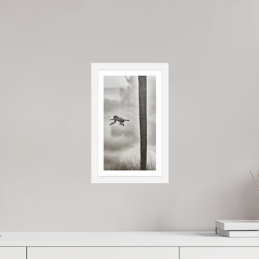 6.8 x 12″, S+M White Frame + Border Beyond The Branch