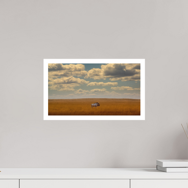 16 x 9″, M Print FREEDOM OF EXPOSURE