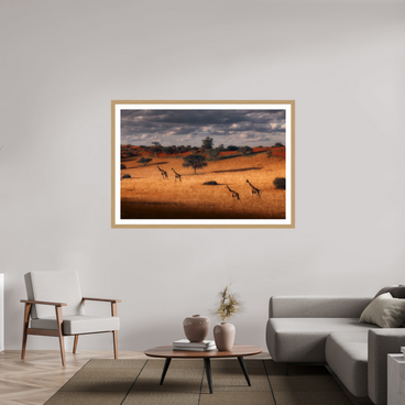 60 x 40″, Exhibition Oak Frame + Border SYMPHONY OF SILENCE