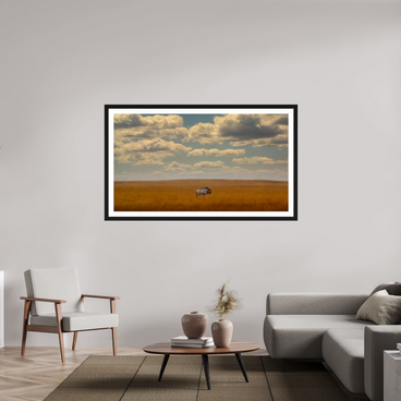 64 x 36″, Exhibition Black Frame + Border FREEDOM OF EXPOSURE