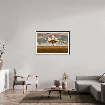 45 x 30″, L+XL Black Frame + Border STRUCTURED CHAOS