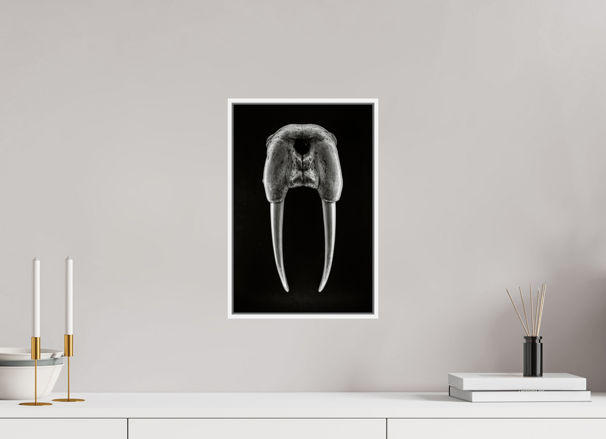 10 x 15″, S+M White Floater Frame DENTAL PLAN