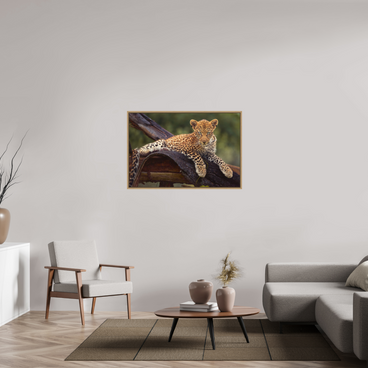 45 x 30″, L+XL Oak Floater Frame Before Knowing
