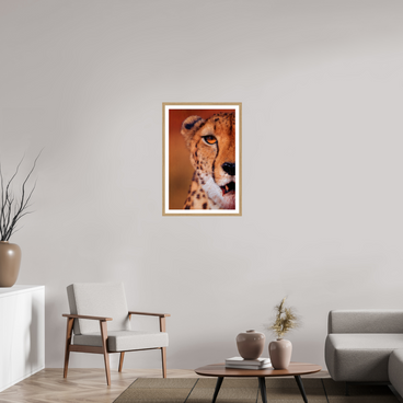20 x 30″, L+XL Oak Frame + Border AS IT IS