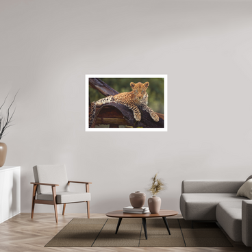 45 x 30″, XL + Exhibition Print BEFORE KNOWING