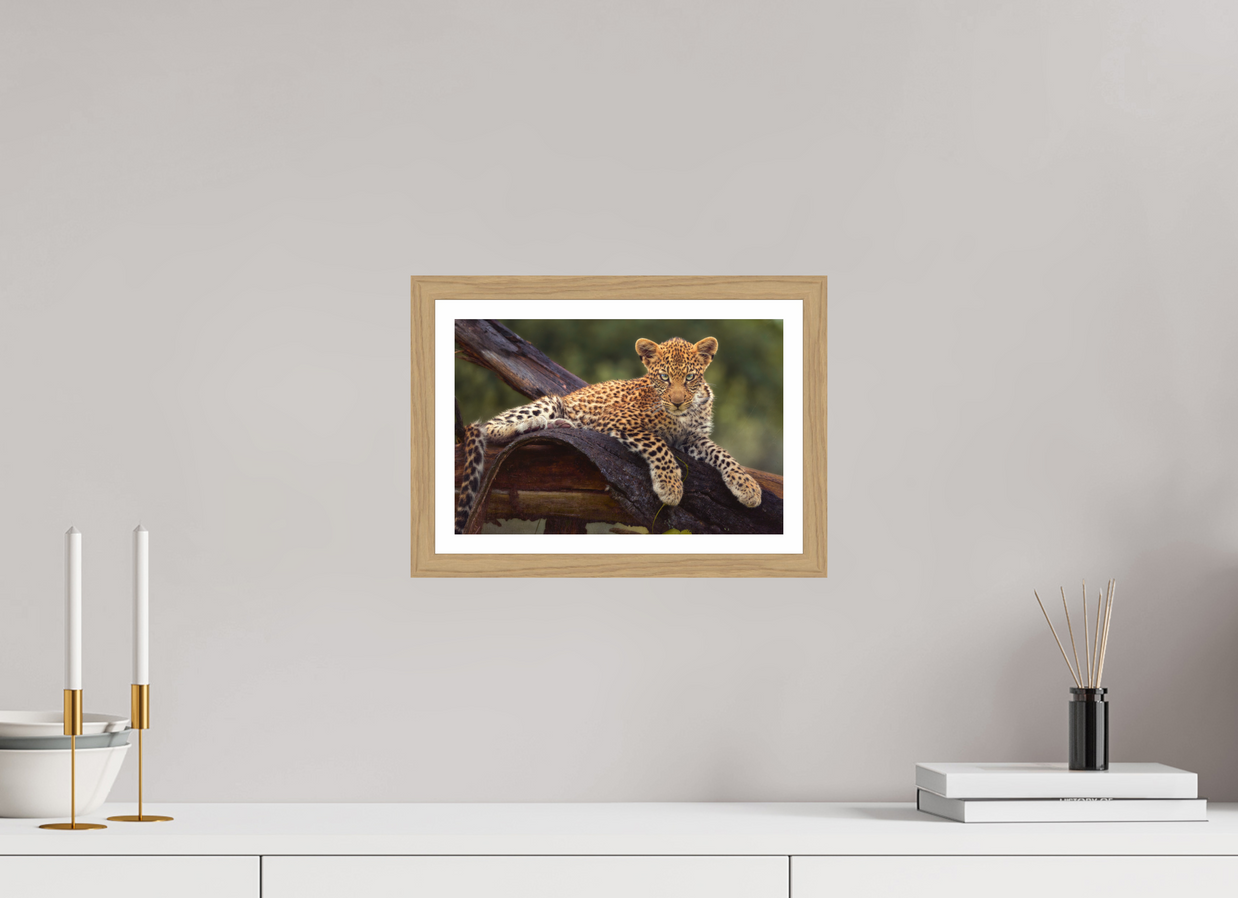 12 x 8″, S+M Oak Frame + Border BEFORE KNOWING