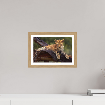 12 x 8″, S+M Oak Frame + Border BEFORE KNOWING