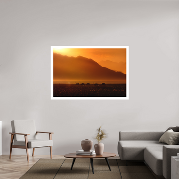 60 x 40″, XL + Exhibition Print PROCESSION OF LIGHT