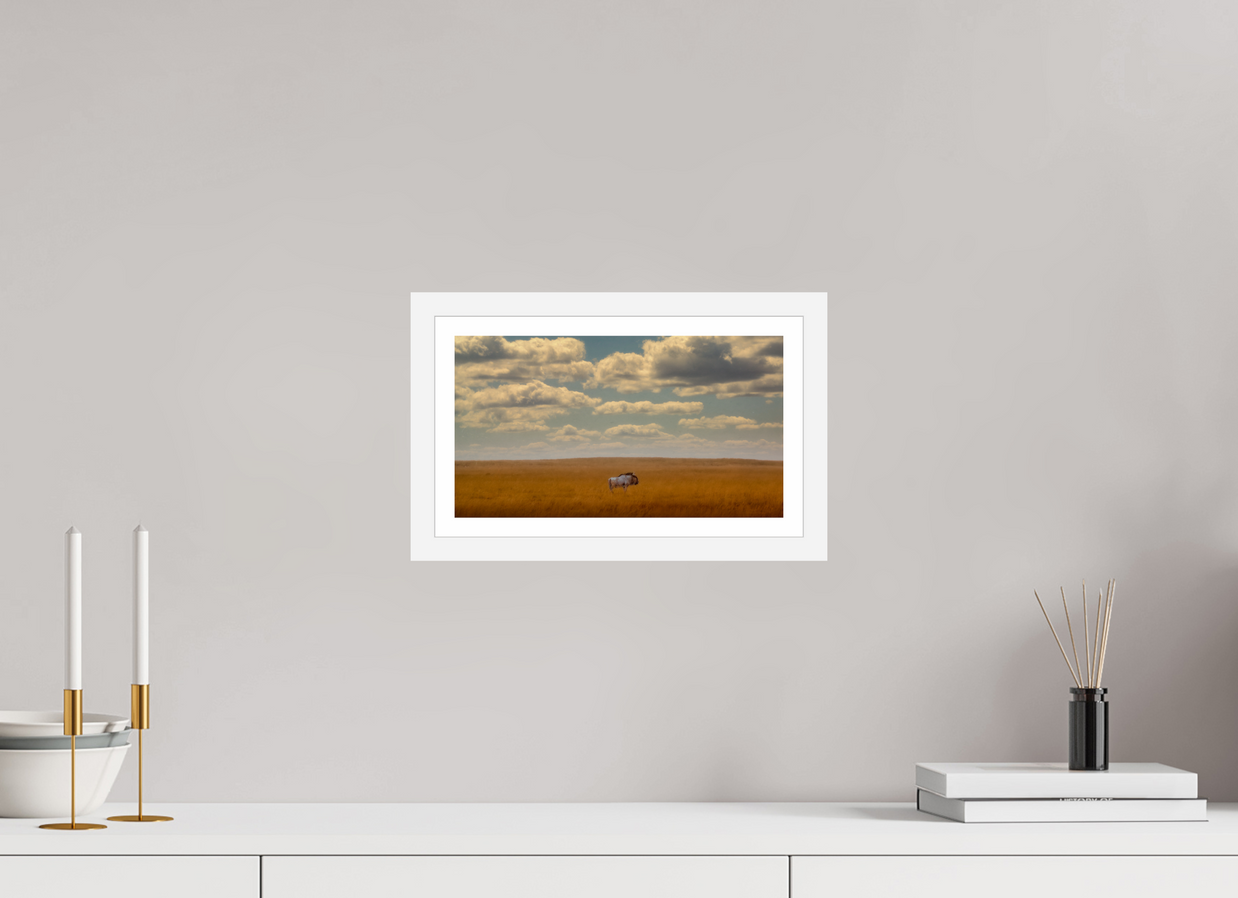 12 x 6.8″, S+M White Frame + Border FREEDOM OF EXPOSURE