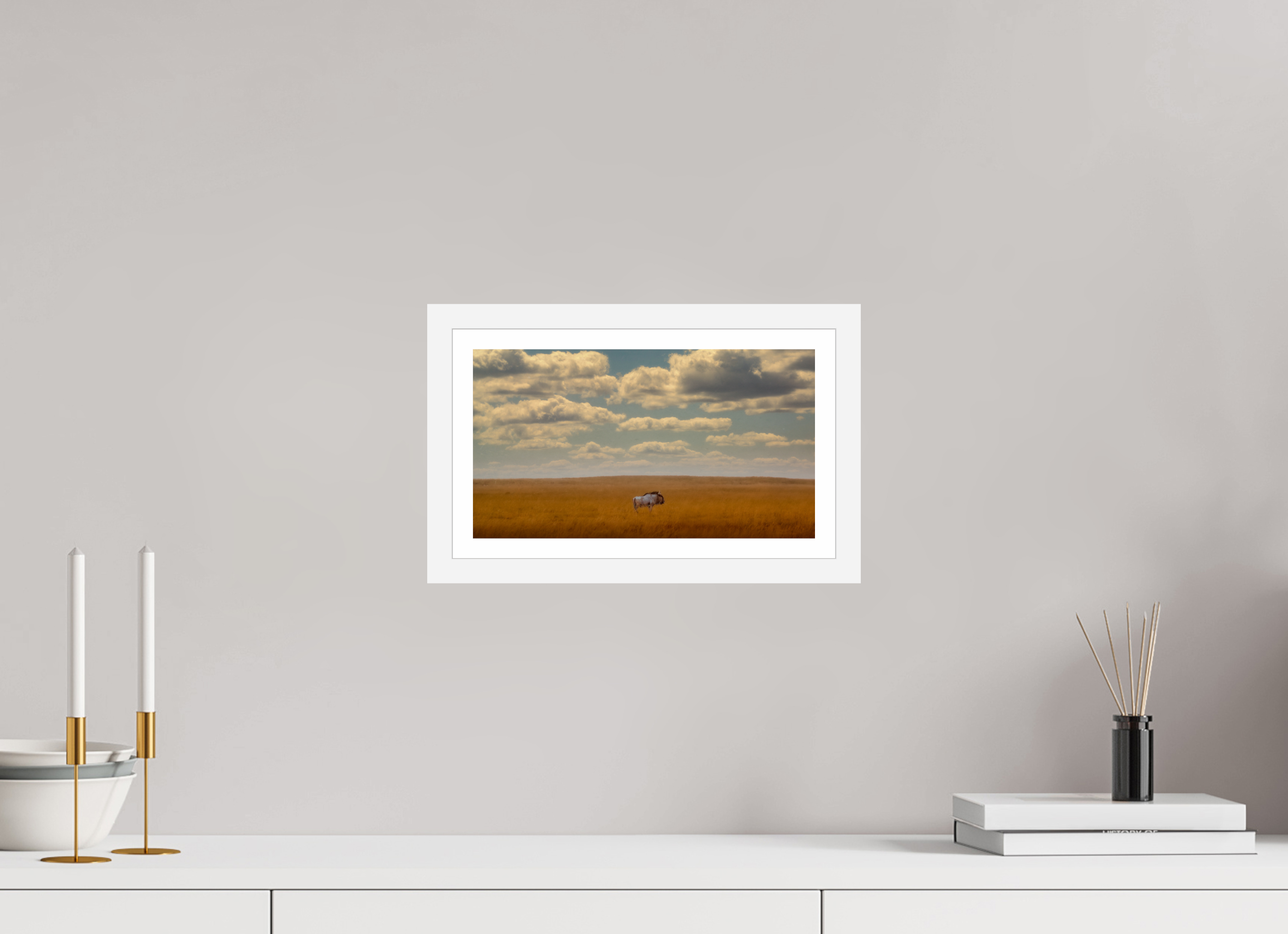 12 x 6.8″, S+M White Frame + Border FREEDOM OF EXPOSURE