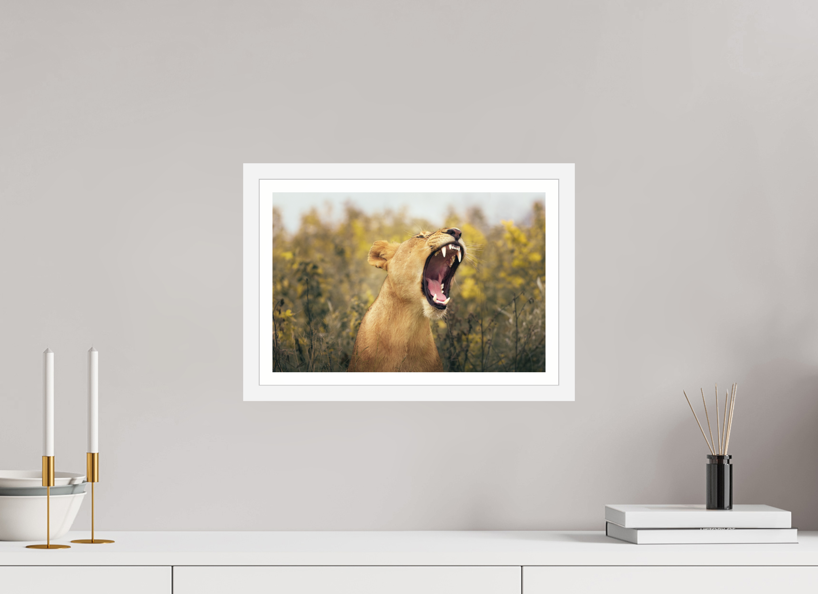 15 x 10″, S+M White Frame + Border UNCONTAINED
