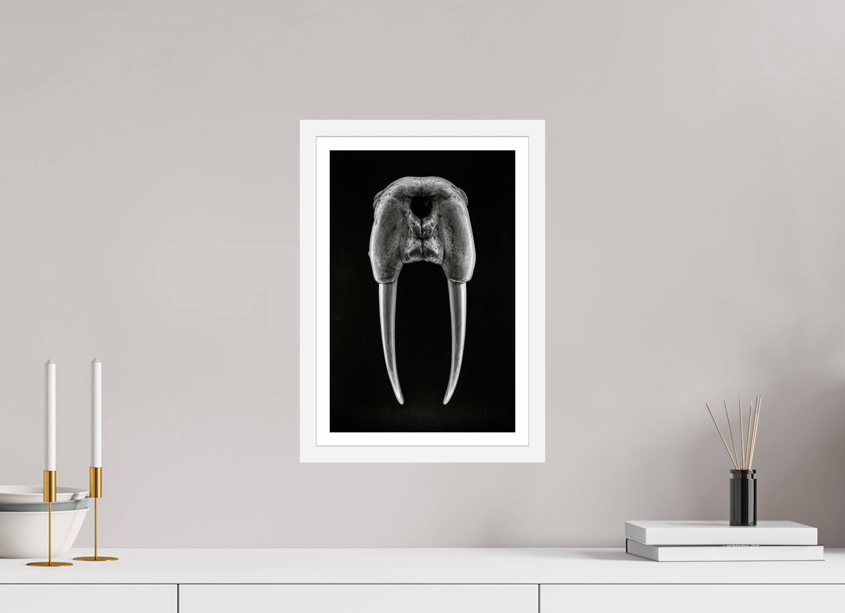 10 x 15″, S+M White Frame + Border DENTAL PLAN
