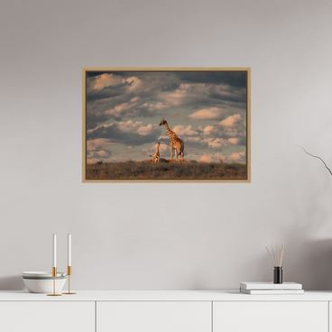 30 x 20″, L+XL Oak Floater Frame Lineage