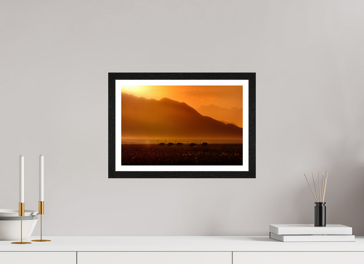 15 x 10″, S+M Black Frame + border PROCESSION OF LIGHT