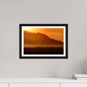 15 x 10″, S+M Black Frame + border PROCESSION OF LIGHT