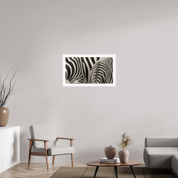 32 x 18″, L+XL White Frame + Border NOT THE SAME