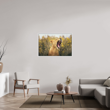 45 x 30″, L+XL White Floater Frame Uncontained