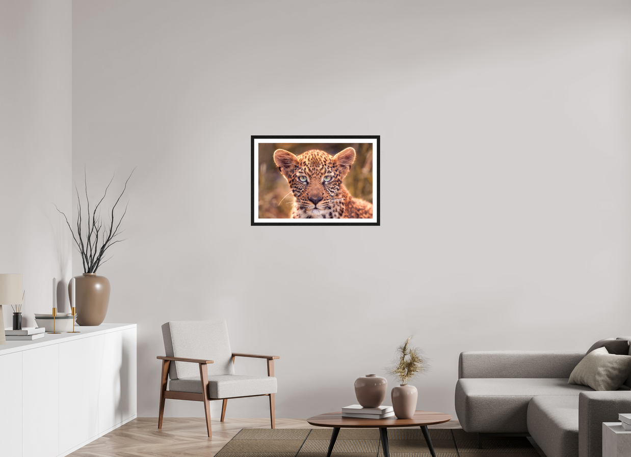 30 x 20″, L+XL Black Frame + Border SEEN
