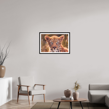 30 x 20″, L+XL Black Frame + Border SEEN