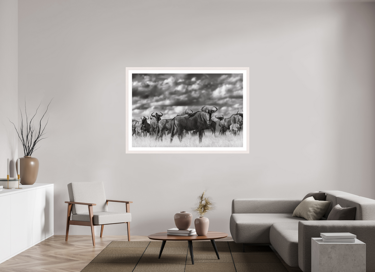 60 x 40″, Exhibition White Maple Frame + Border MYSELF IN THE MANY