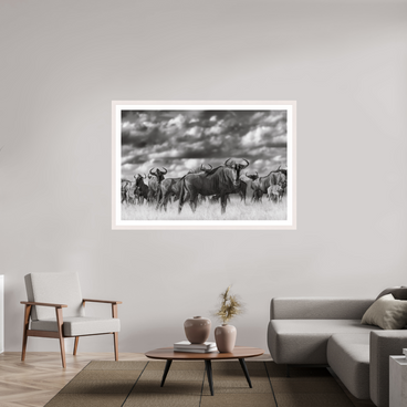60 x 40″, Exhibition White Maple Frame + Border MYSELF IN THE MANY