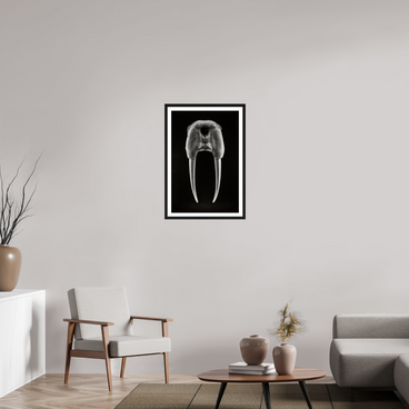 20 x 30″, L+XL Black Frame + Border DENTAL PLAN