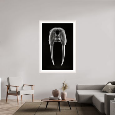 40 x 60″, Exhibition White Maple Frame + Border DENTAL PLAN