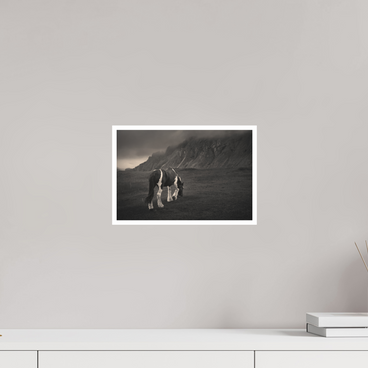 12 x 8″, S Print Unbothered