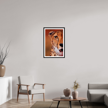 20 x 30″, L+XL Black Frame + Border AS IT IS