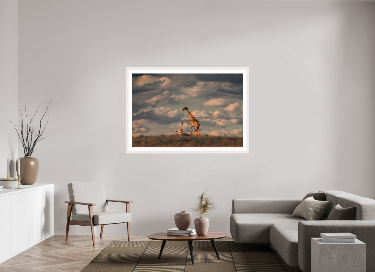 60 x 40″, Exhibition White Maple Frame + Border LINEAGE