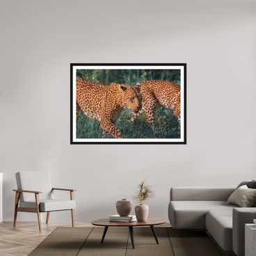 60 x 40″, Exhibition Black Frame + Border UNTAMED OPULENCE