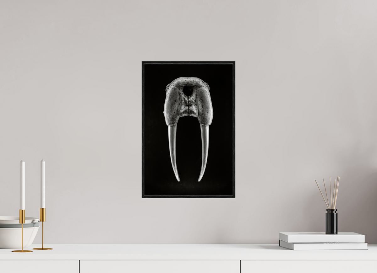 10 x 15″, S+M Black Floater Frame DENTAL PLAN