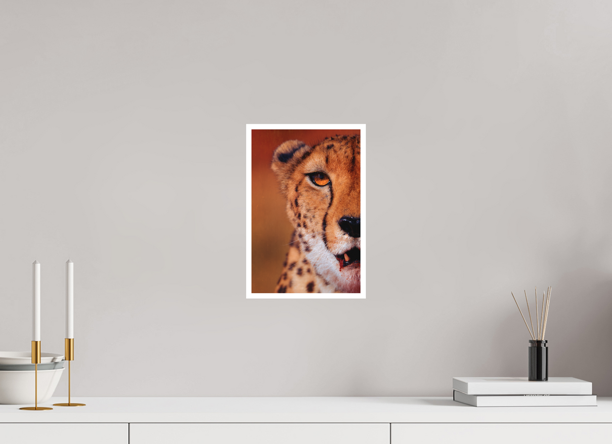 8 x 12″, S Print AS IT IS