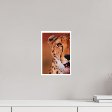 8 x 12″, S Print AS IT IS