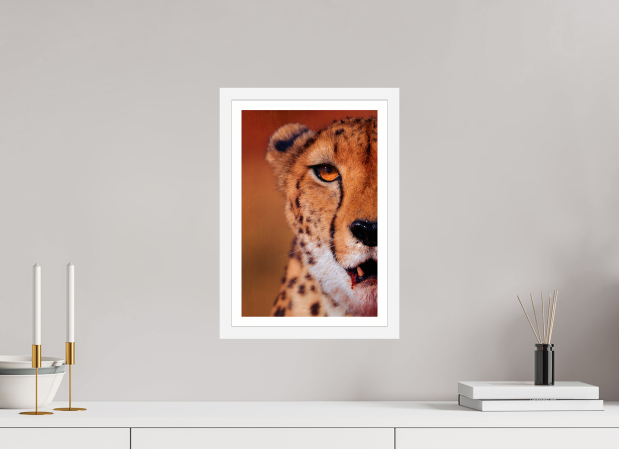 10 x 15″, S+M White Frame + Border AS IT IS