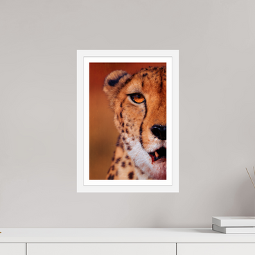 10 x 15″, S+M White Frame + Border AS IT IS
