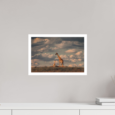 15 x 10″, M Print LINEAGE