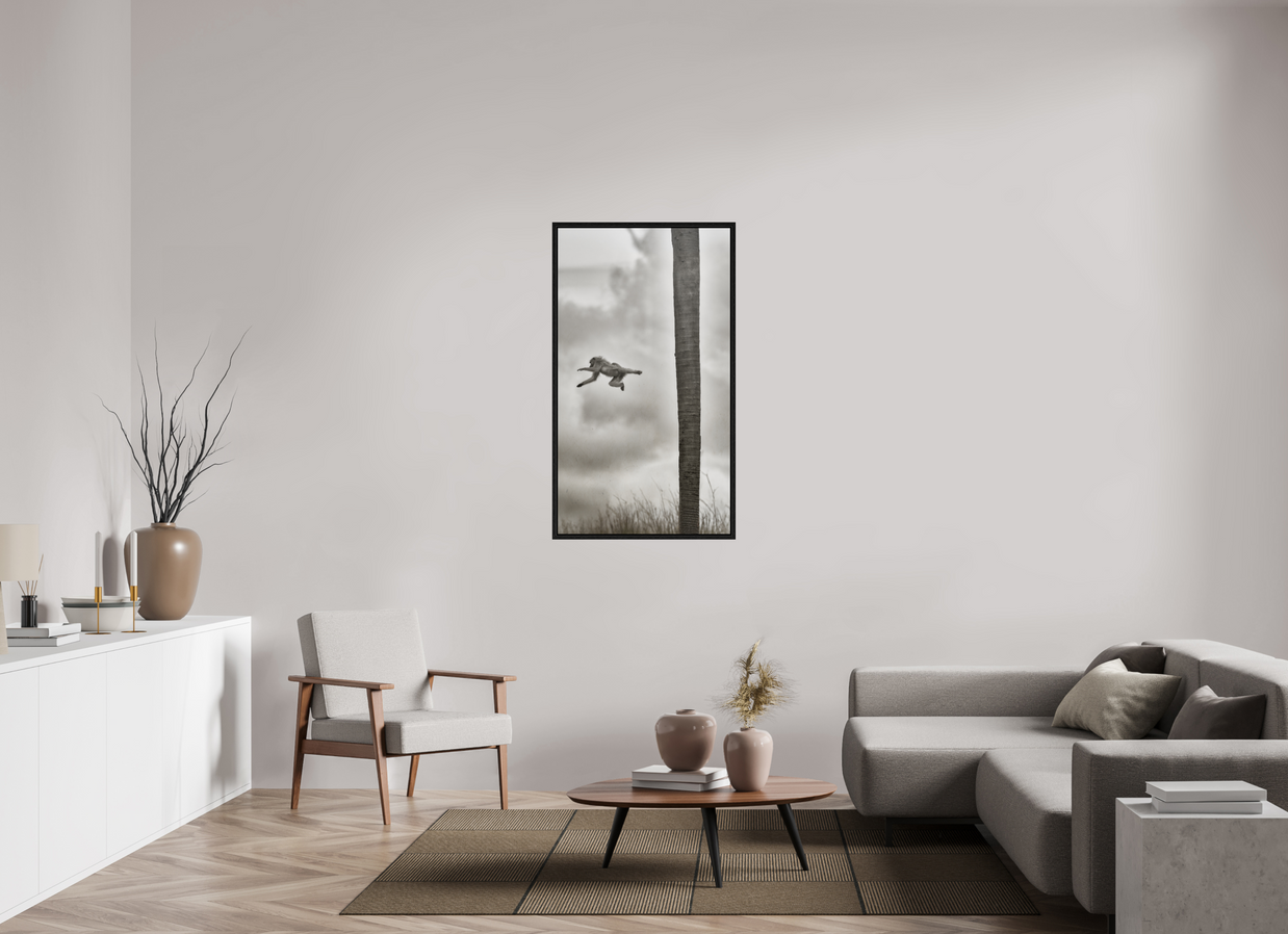 27.6 x 49″, L+XL Black Floater Frame Beyond The Branch