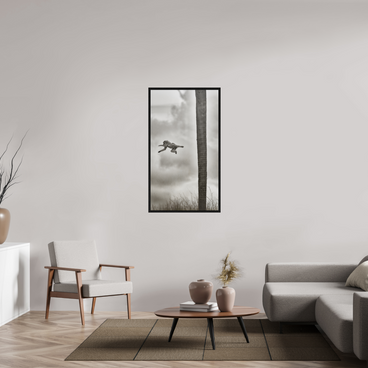 27.6 x 49″, L+XL Black Floater Frame Beyond The Branch