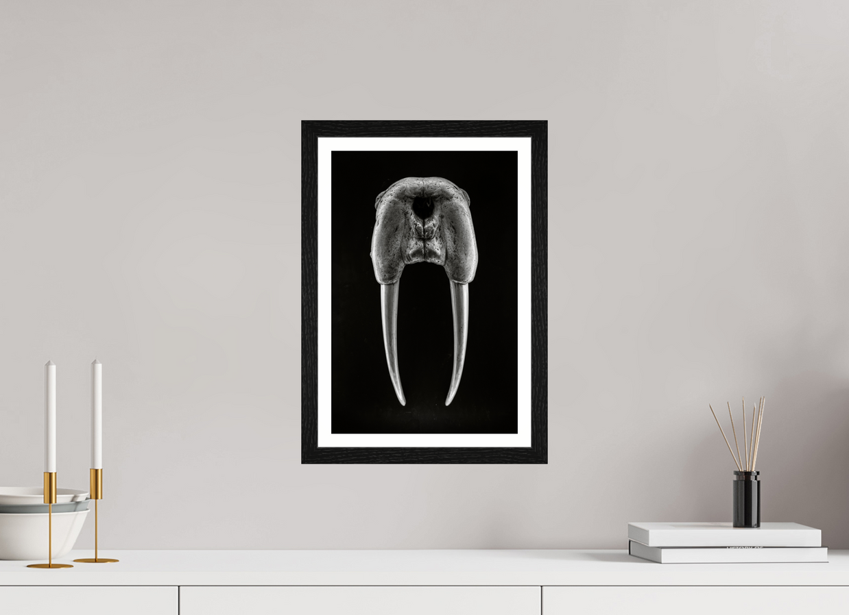 10 x 15″, S+M Black Frame + border DENTAL PLAN
