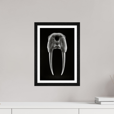 10 x 15″, S+M Black Frame + border DENTAL PLAN