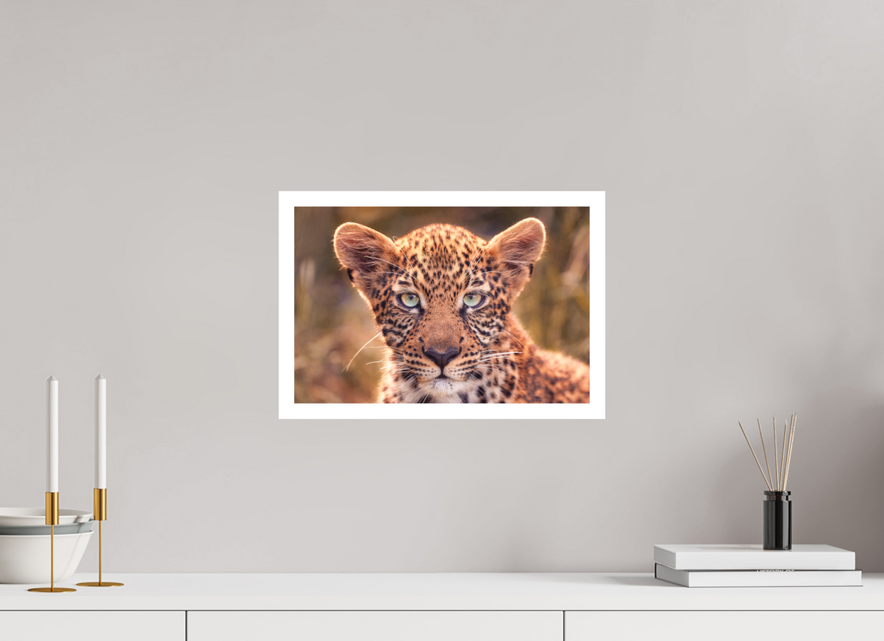 15 x 10″, M Print SEEN