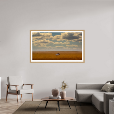64 x 36″, Exhibition Oak Frame + Border FREEDOM OF EXPOSURE