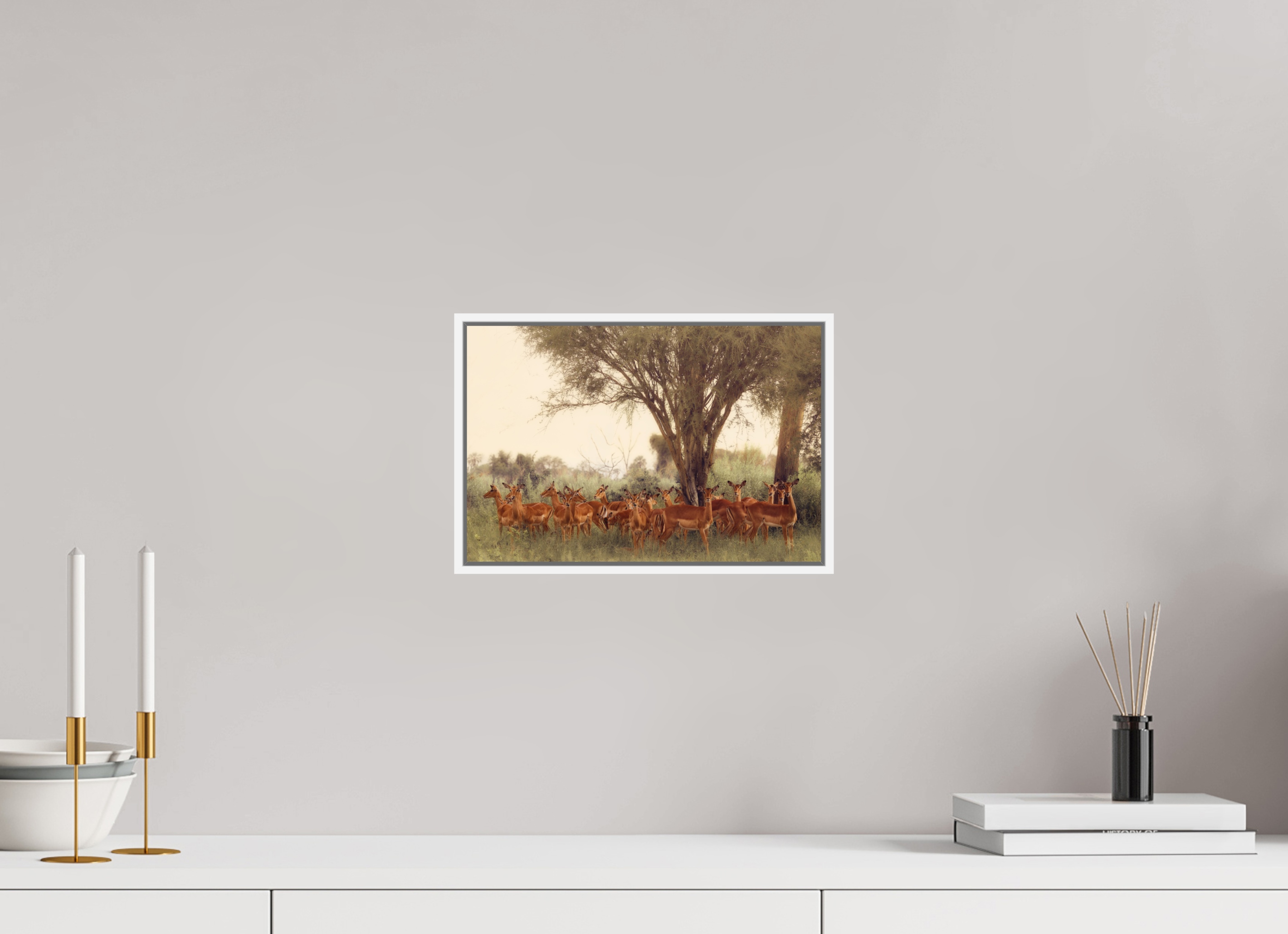 12 x 8″, S+M White Floater Frame The Field Feels