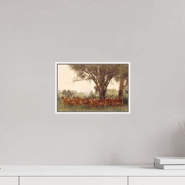12 x 8″, S+M White Floater Frame The Field Feels